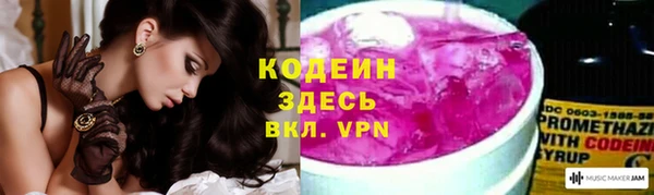 дурь Алексин