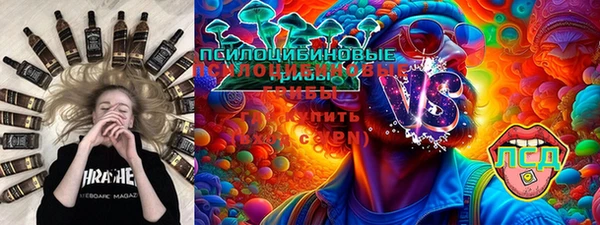 дурь Алексин