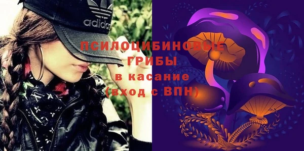 винт Алзамай