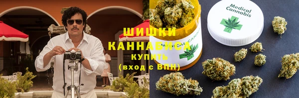 винт Алзамай