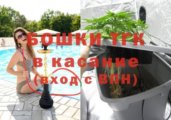 винт Алзамай