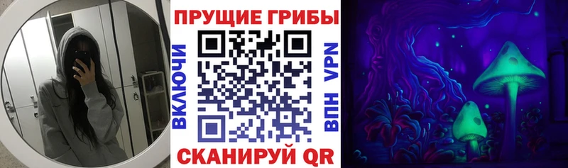 Галлюциногенные грибы Psilocybe  ссылка на мегу как войти  Биробиджан  даркнет сайт 